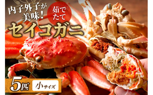 【蟹の匠 魚政】内子外子が美味! 茹でたて セイコガニ（セコ蟹）（香箱ガニ）（こっぺ）小サイズ 5匹セット カニ 蟹 セイコ蟹 セコガニ 香箱ガニ コッペガニ ボイル