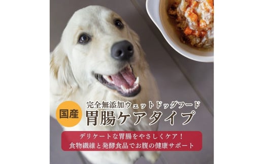 [無添加ウェットドッグフード] 胃腸ケアタイプ (5パック)