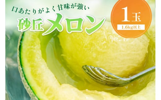 【先行予約／数量限定450】京丹後産 砂丘メロン 大玉2L以上 1玉（2026年7月下旬～発送）