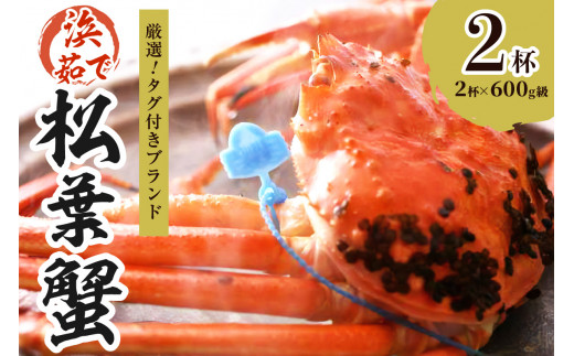 【厳選！！タグ付きブランド】　茹で松葉かに（中）　鮮度抜群、浜茹でにてお届け！！ 600g級×2杯