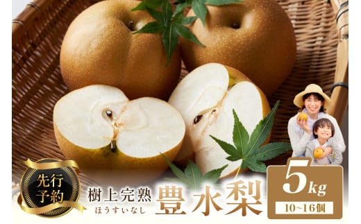 【先行予約】樹上完熟 豊水梨 5kg（10～16個）（2026年8月下旬～発送） フルーツ 果物 なし 豊水 ふるさと 納税 梨 なし ナシ ふるさと 納税 先行予約 期間限定 ふるさと 納税 フルーツ ふるさと納税 豊水梨