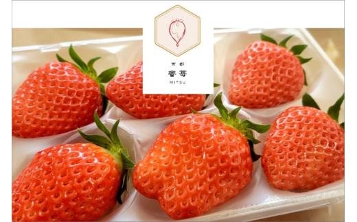 【先行予約】2026年産 京都 蜜いちご（あきひめ）（大サイズ（6粒または8粒）×2パック）約450g（2026年1月上旬～発送）