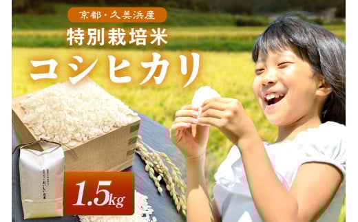 2025年産 京都・久美浜産 特別栽培米コシヒカリ 1.5kg