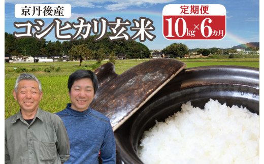 2026年産 丹後弥栄産コシヒカリ（玄米10kg）月1回×6ヵ月 ふるさと納税 お米 米 玄米 コシヒカリ 農家直送 丹後こしひかり ふるさと納税 玄米 定期便