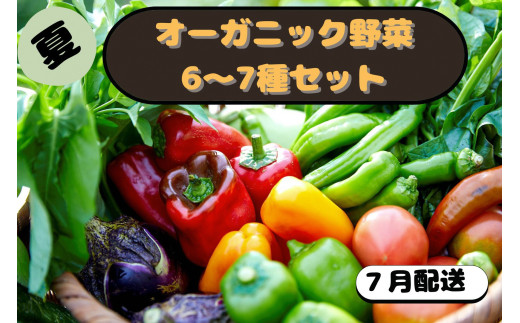 【先行予約：7月配送】＜てんとうむしばたけ＞夏のオーガニック野菜セット　有機野菜6～7種前後