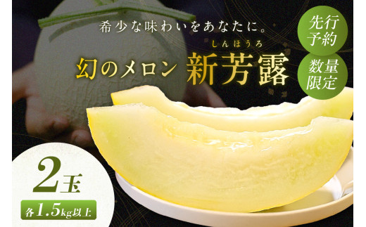 【先行予約／数量限定200】幻のメロン 新芳露 2玉（2026年7月中旬～発送）