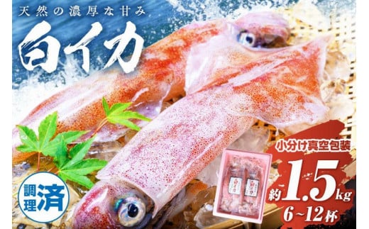 【先行予約】BBQに最適！ 白イカ（ケンサキイカ） 調理済み 正味1.5kg入り（6～12匹） ※小分け真空包装 海鮮 魚介 烏賊 調理済み バーベキュー 壺焼き 小分け 冷凍 ふるさと納税 イカ ふるさと納税 海鮮BBQ