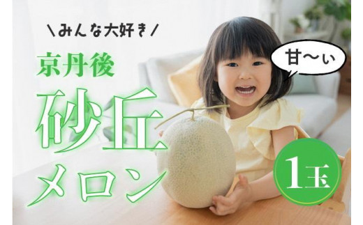 【先行予約】メロン産地から直送！濃厚な甘み／みんな大好き甘～ぃ！京丹後砂丘めろん！ 1玉（2026年7月下旬～発送）メロン1玉