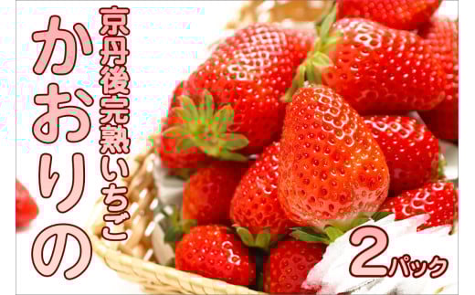 【先行予約／数量限定】京都丹後産 完熟いちご（かおりの） 2パック（2026年3月中旬～発送）