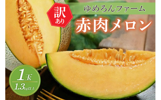 【先行予約／数量限定100】ゆめろんファームの赤肉メロン（訳あり品）（2026年6月上旬～発送）