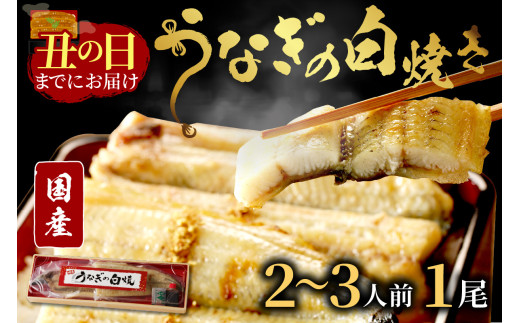 【土用の丑の日までに届く！】うなぎの白焼き2～3人前(1尾) ふるさと納税 ウナギ 鰻 白焼 しらやき タレ 国産 うなぎ 鰻 惣菜 京都 ギフト 贈り物 お祝い