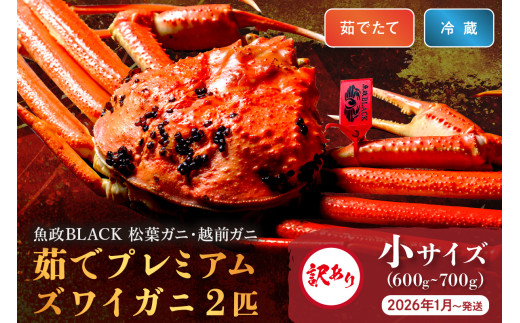 訳あり　【蟹の匠 魚政】茹で　プレミアムズワイガニ 魚政BLACK（松葉ガニ・越前ガニ） 小サイズ（600～700g） 2匹セット　 (2026年1月～発送)