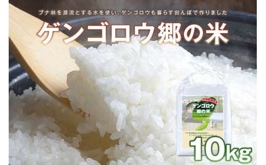 【先行予約】龍谷大学と共同開発／2025年産　京丹後産生物多様性米コシヒカリ「ゲンゴロウ郷の米」10kg箱入