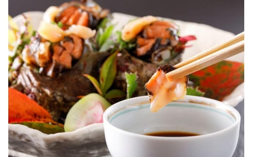 お刺身専用！日本海荒波育ち京丹後産お刺身さざえ8個入