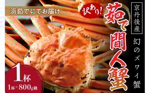 【訳あり！！幻のズワイ蟹】　　京丹後産　茹で間人蟹　鮮度抜群、浜茹でにてお届け！！ 800g級（足1本落ち）×1杯