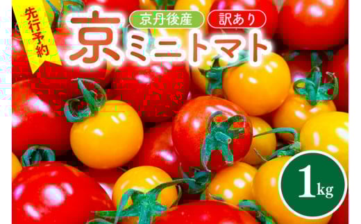 【先行予約】京丹後産・京ミニトマト 1kg（2026年5月中旬～発送）