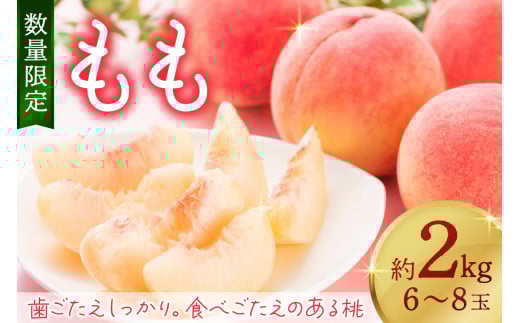 【数量限定】京都丹後産 桃 約2kg（6～8玉）（2026年7月中旬～発送） 歯ごたえのある かための桃 ふるさと 納税 桃 2kg ふるさと 納税 もも モモ