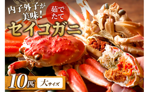 【蟹の匠 魚政】内子外子が美味! 茹でたて セイコガニ（セコ蟹）（香箱ガニ）（こっぺ）大サイズ 10匹セット