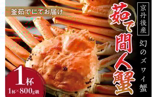 【幻のズワイ蟹】京丹後産 茹で間人蟹 鮮度抜群、釜茹でにてお届け！！ 800g級×1杯