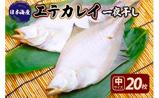 【店主一押し！絶品干物！高リピート！】エテカレイ一夜干し　中サイズ（朝食サイズ）20枚