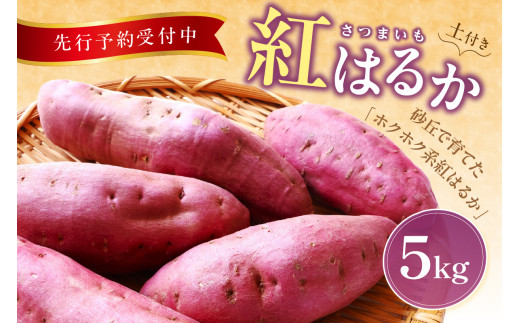 【先行予約／数量限定】京丹後産 土付き 紅はるか（さつまいも） 5kg（2026年11月上旬～発送）