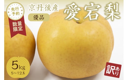 【先行予約／数量限定50】【訳あり】愛宕梨 優品 5kg（5～12玉入り）（2025年11月下旬～発送）