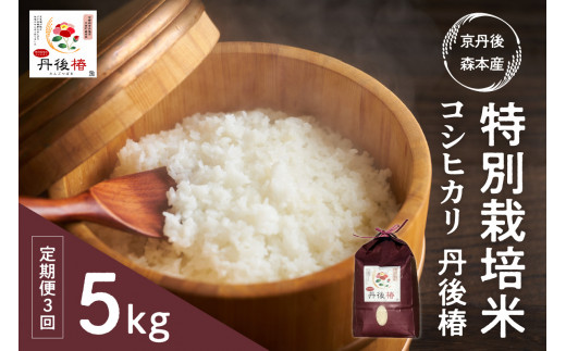 令和8年産 特別栽培米コシヒカリ 丹後椿（京丹後森本産） 5kg【定期便3回】