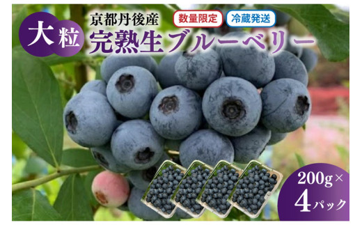 【先行予約／数量限定40】国産 大粒完熟ブルーベリー 生果 200g×4パック（栽培期間中農薬・化学肥料・除草剤不使用）（2026年7月上旬～発送）