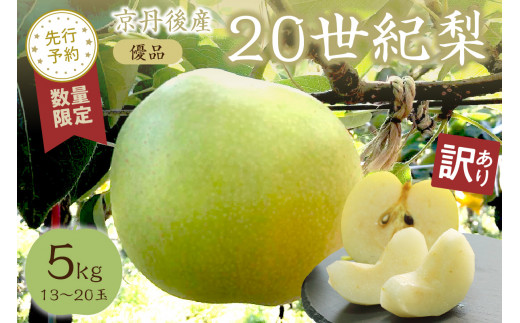 【先行予約／数量限定100】【訳あり】20世紀梨 優品 5kg（13～20玉入り）（2026年9月上旬～発送）