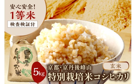 2025年産 京都・京丹後峰山 特別栽培米コシヒカリ 5kg 【玄米】 1等米 検査済証付