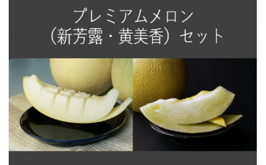 【先行予約／数量限定30】プレミアムメロン（新芳露・黄美香）セット（2026年7月下旬～発送）