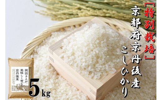 特別栽培　京都府京丹後市産こしひかり 岡田さんが美味しく育てた京丹後米 5kg