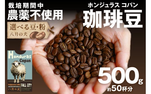 【栽培期間中農薬不使用】自家焙煎コーヒー豆 ホンジュラス　コパン 500g（250g×2） 約50杯分 小分け　豆・粉 選べる