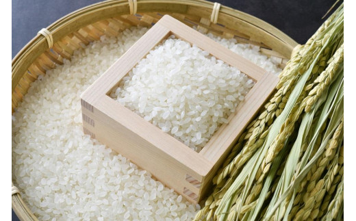 2025年産 京都・弥栄産 コシヒカリ 精米4.5kg（栽培期間中農薬・化学肥料不使用）