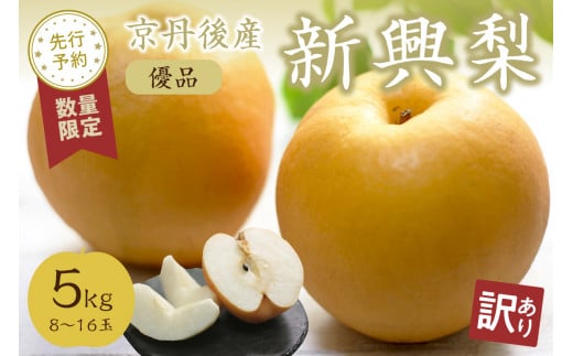 【先行予約／数量限定100】【訳あり】新興梨 優品 5kg（8～16玉入り）（2026年10月上旬～発送）