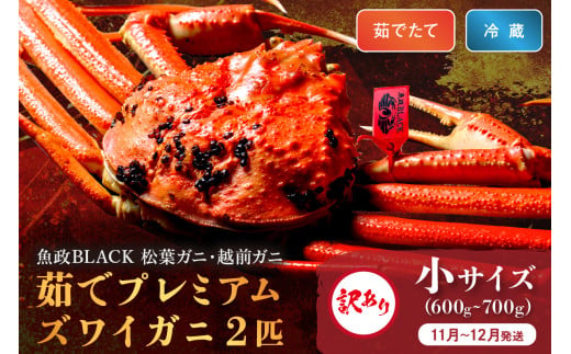 訳あり　【蟹の匠 魚政】茹で　プレミアムズワイガニ 魚政BLACK（松葉ガニ・越前ガニ） 小サイズ（600～700g） 2匹セット　(11月～12月発送)