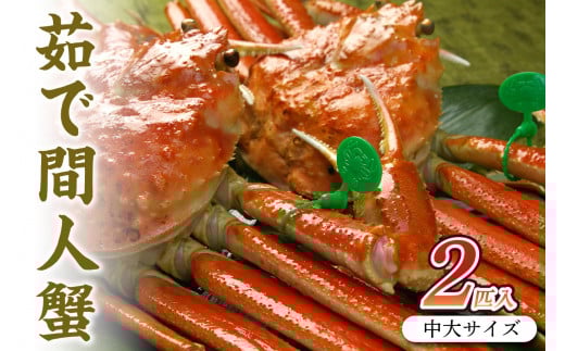 京丹後市産 茹で間人蟹 【厳選】 中大サイズ　taizakani800　2匹　間人がに 間人ガニ 間人蟹 たいざがに たいざガニ