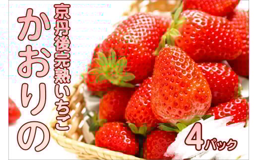 【先行予約／数量限定】京都丹後産 完熟いちご（かおりの） 4パック（2026年3月中旬～発送）