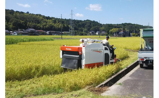 京都・峰山長岡産 丹後こしひかり 玄米10kg　MH00005