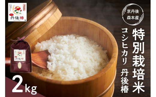 莉、蜥7蟷エ逕」 迚ケ蛻・譬ス蝓ケ邀ウ繧ウ繧キ繝偵き繝ェ 荳ケ蠕梧、ソシ井コャ荳ケ蠕梧」ョ譛ャ逕」シ 2kg