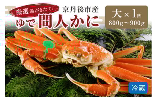 かに卸問屋がお届け・自社釜ゆで！幻のゆで間人ガニ 800ｇ～900ｇ 大サイズ （1月～3月発送）／北畿水産
