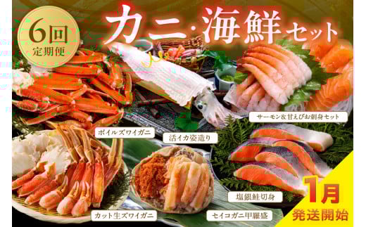 【定期便6回／1月発送】店主厳選！おすすめカニ・海鮮セット（カット生ズワイガニ4肩・ボイルズワイガニ4肩・セイコガニ甲羅盛3個・銀鮭切り身約1kg・サーモン＆甘えびお刺身セット・活イカ姿造り200g前後）