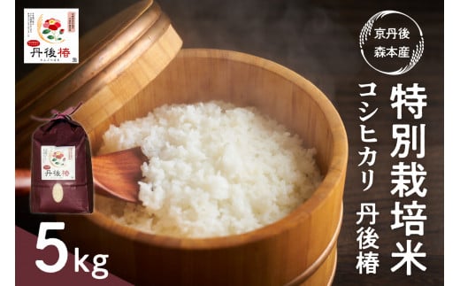令和7年産 特別栽培米コシヒカリ 丹後椿（京丹後森本産） 5kg