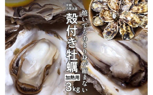 京都・久美浜産　殻付き牡蠣　3kg（30個前後）【加熱用】牡蠣ナイフ付