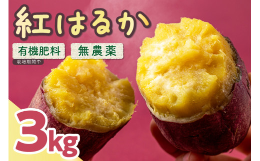 【数量限定50】農家直送 令和7年産　さつまいも3kgセット