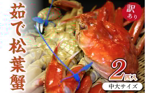 日本海産　ブランド蟹　茹で松葉蟹【訳あり】中大サイズmatubakani800 2匹入り