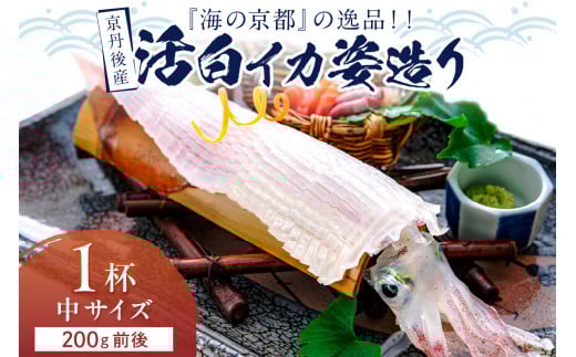 【先行予約】京丹後産『海の京都』の逸品！！　活白イカ姿造り（クリスタル白いか）中サイズ 1杯（200g前後）（2026年6月上旬～発送）