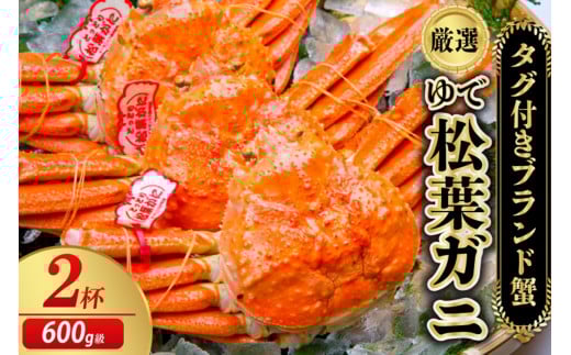【先行予約】【厳選！タグ付きブランド蟹】茹で松葉かに（600g級×2杯）（2026年1月～発送）