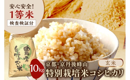 2025年産 京都・京丹後峰山 特別栽培米コシヒカリ 10kg 【玄米】 1等米 検査済証付