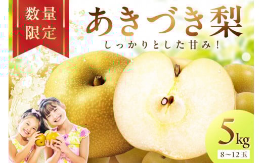 【先行予約／数量限定300】京丹後産 あきづき梨 5kg（8～12玉）（2026年9月中旬～発送）